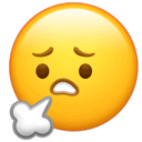 DƬ